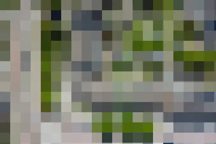 Buizerdweg 4 Alkmaar thumbnail 38