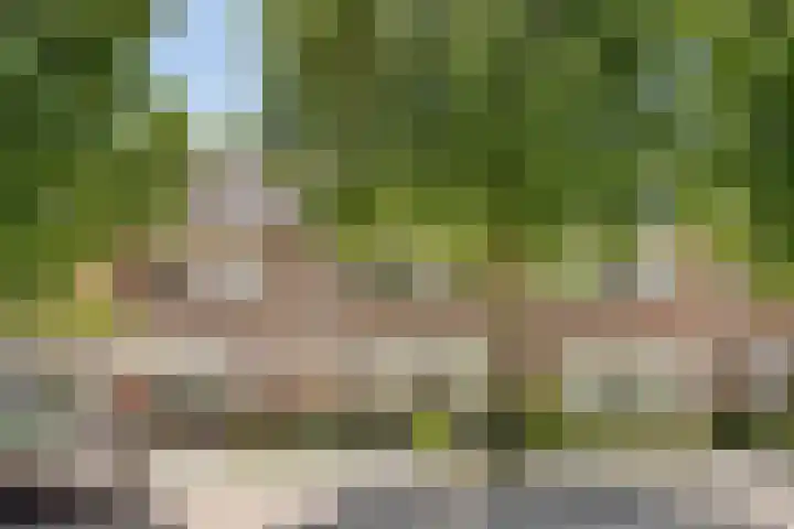 Buizerdweg 4 Alkmaar thumbnail 39