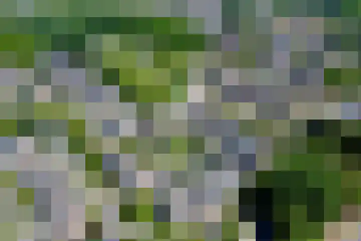 Buizerdweg 4 Alkmaar thumbnail 4