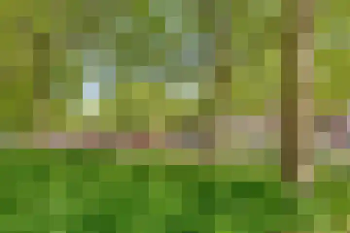 Buizerdweg 4 Alkmaar thumbnail 41