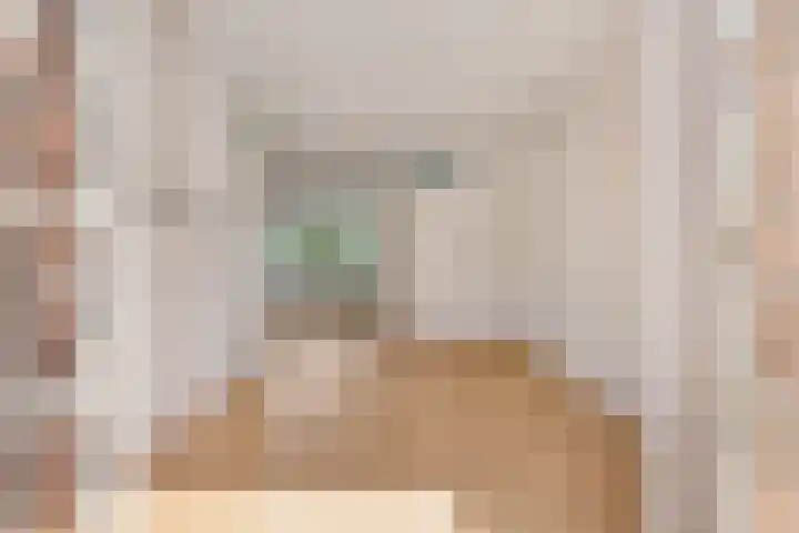 Buizerdweg 4 Alkmaar thumbnail 6