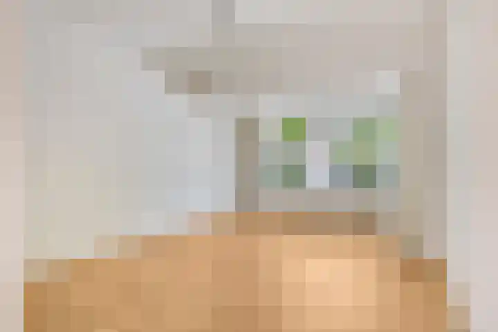 Buizerdweg 4 Alkmaar thumbnail 8