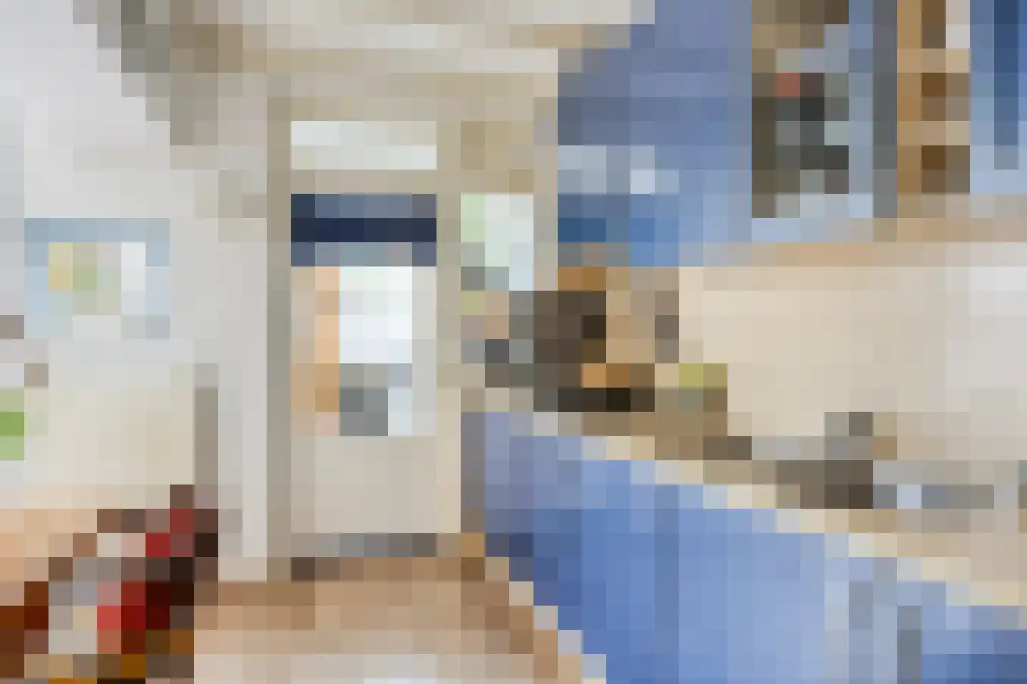 Buizerdweg 60 Apeldoorn thumbnail 10