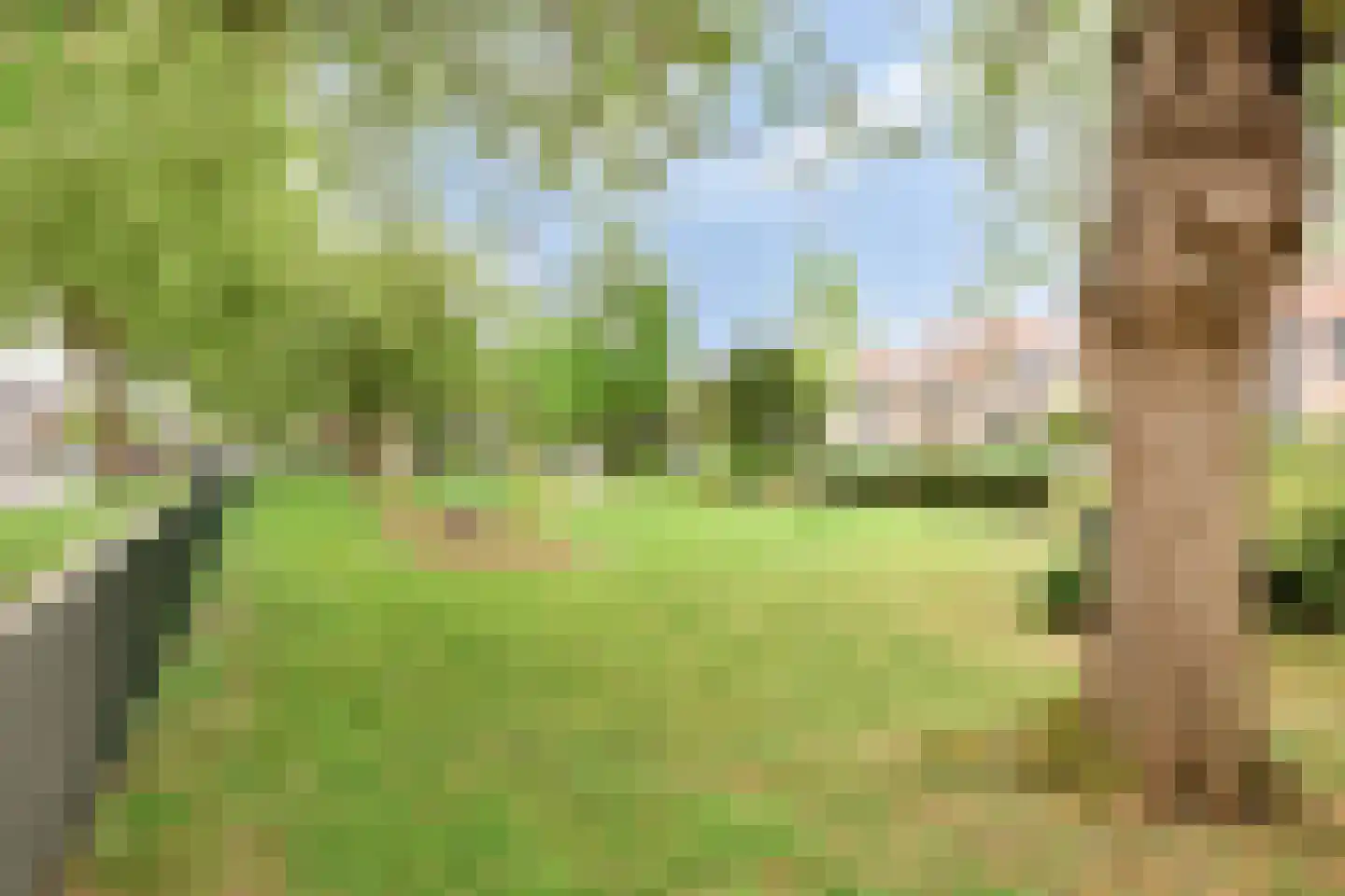 Buizerdweg 60 Apeldoorn thumbnail 23