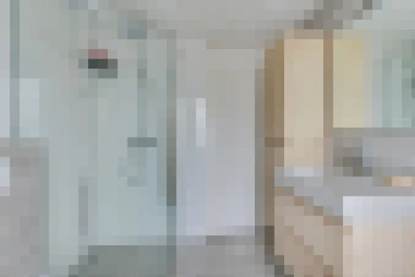 Buizerdweg 97 Alkmaar thumbnail 23