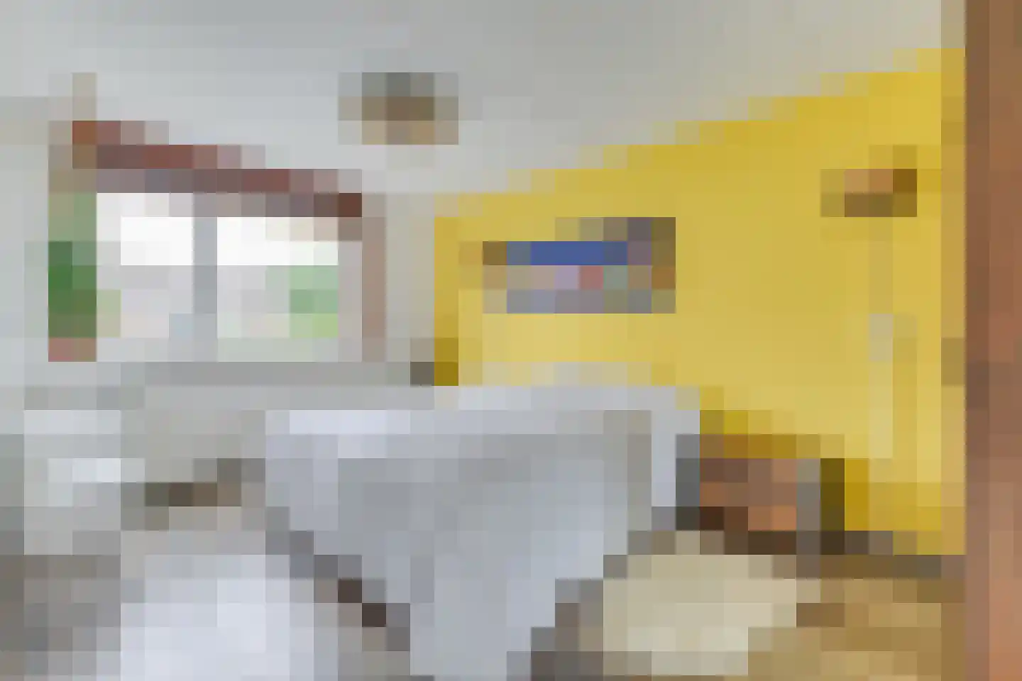 Buizerdweg 97 Alkmaar thumbnail 24