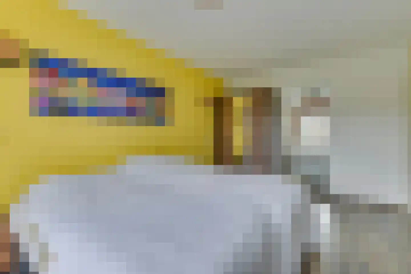 Buizerdweg 97 Alkmaar thumbnail 26