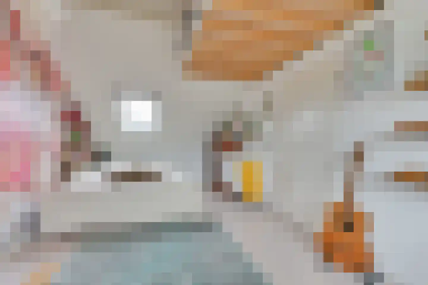 Buizerdweg 97 Alkmaar thumbnail 32