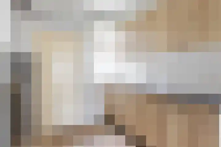 Bûkenhage 20 Lippenhuizen thumbnail 10