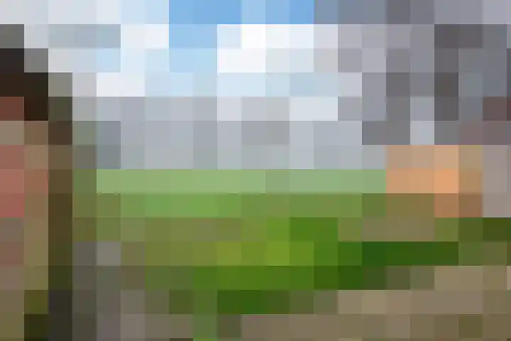 Bûkenhage 20 Lippenhuizen thumbnail 14