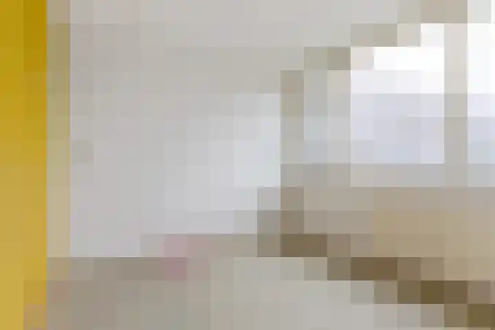 Bûkenhage 20 Lippenhuizen thumbnail 21