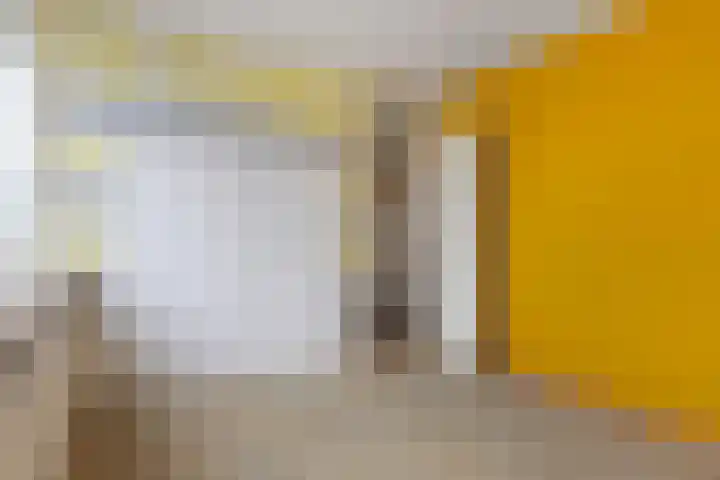 Bûkenhage 20 Lippenhuizen thumbnail 22
