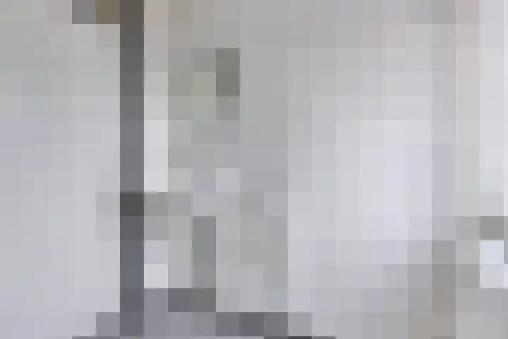 Bûkenhage 20 Lippenhuizen thumbnail 25