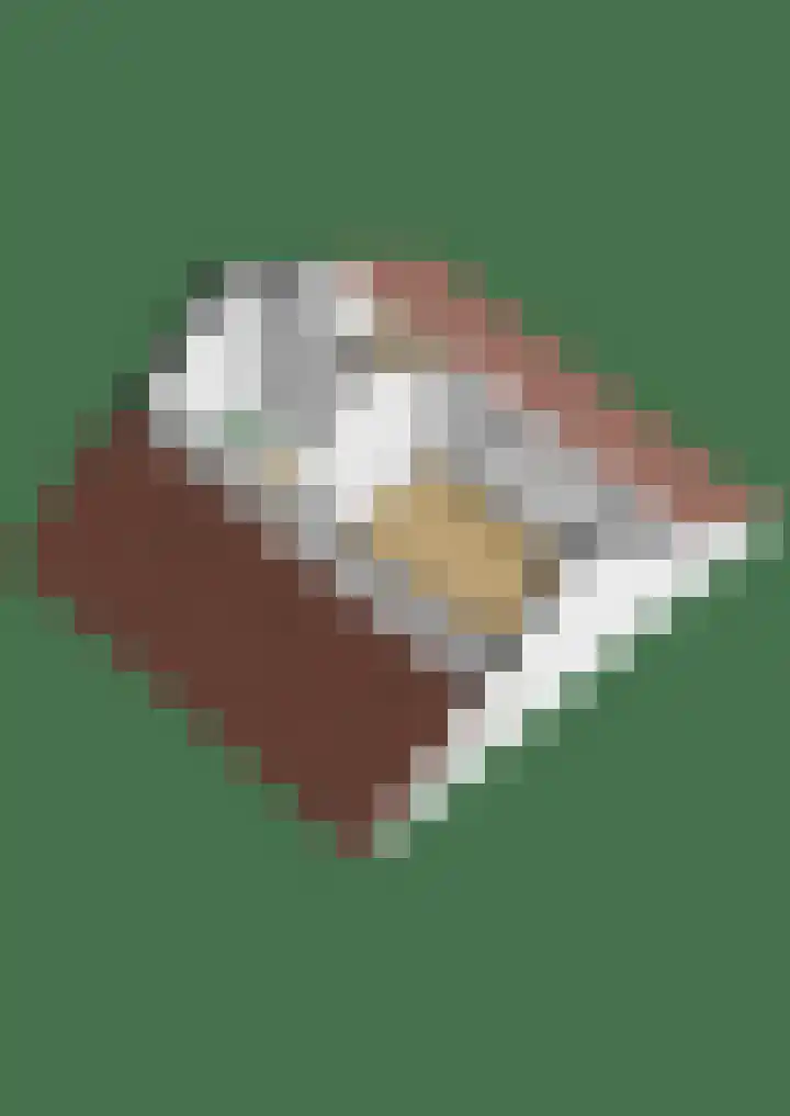 Bûkenhage 20 Lippenhuizen thumbnail 34