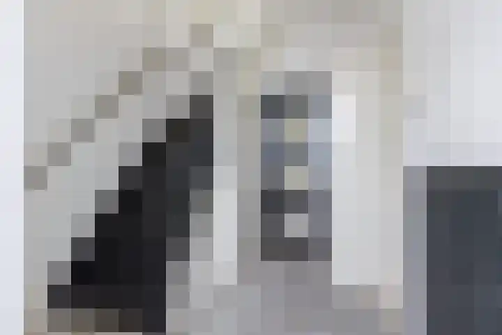 Bûkenhage 20 Lippenhuizen thumbnail 4