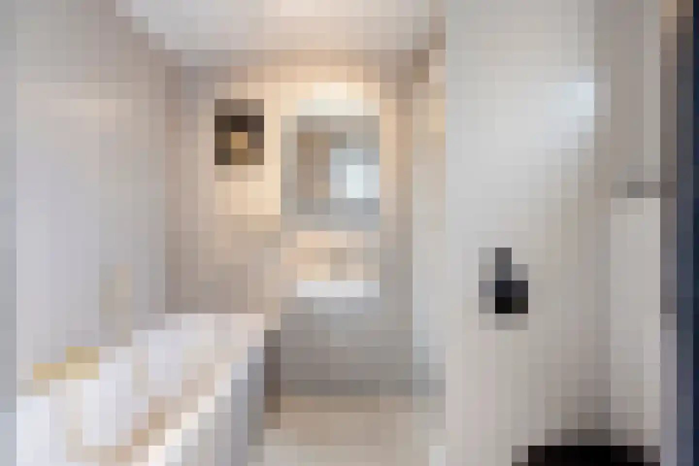 Bukskinstraat 12 Tilburg thumbnail 10