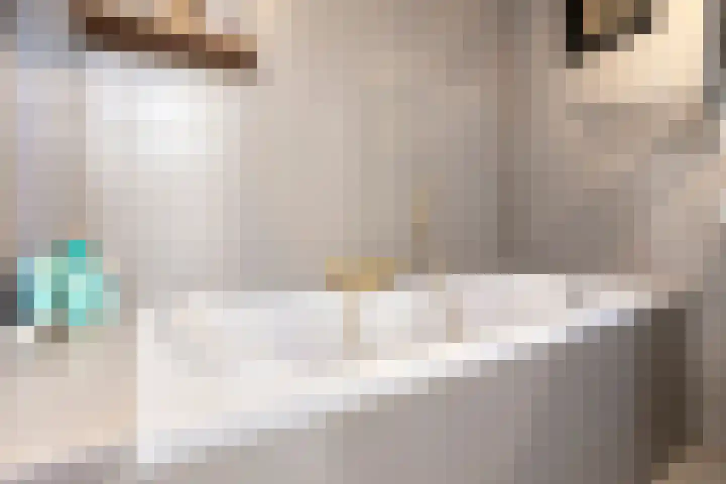 Bukskinstraat 12 Tilburg thumbnail 12