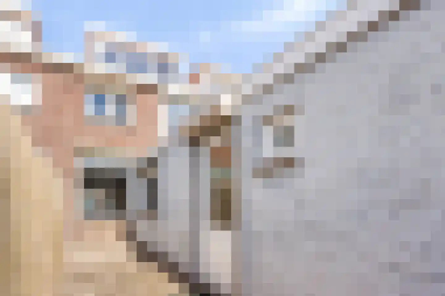 Bukskinstraat 12 Tilburg thumbnail 22