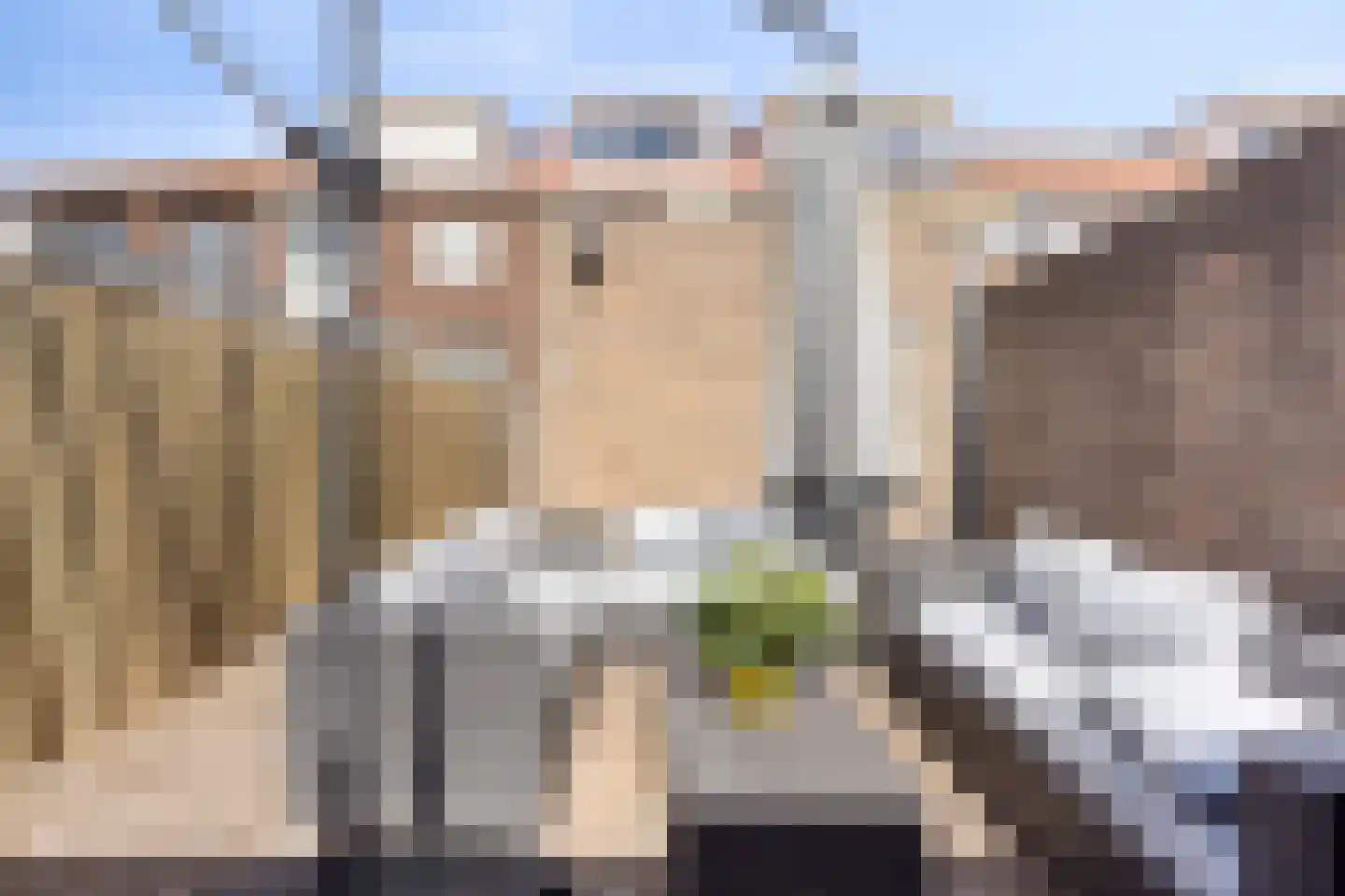 Bukskinstraat 12 Tilburg thumbnail 24