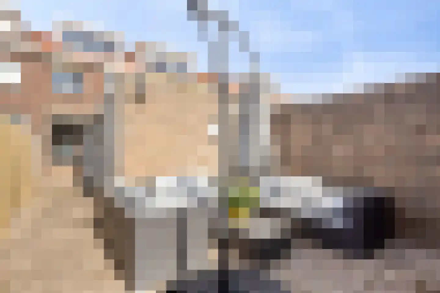 Bukskinstraat 12 Tilburg thumbnail 25