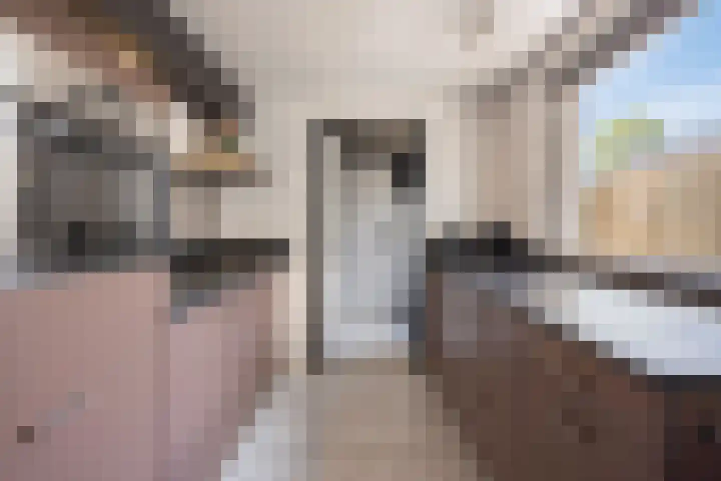 Bukskinstraat 12 Tilburg thumbnail 6