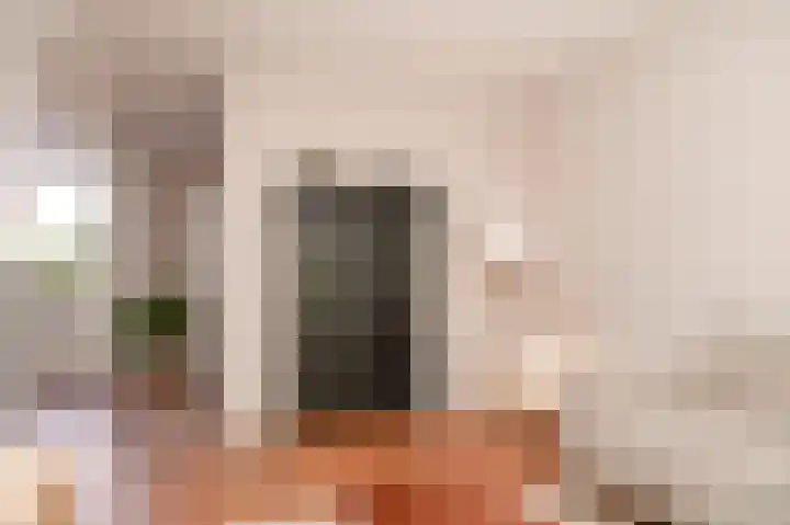 Bulckesteynstraat 26 Deil thumbnail 6