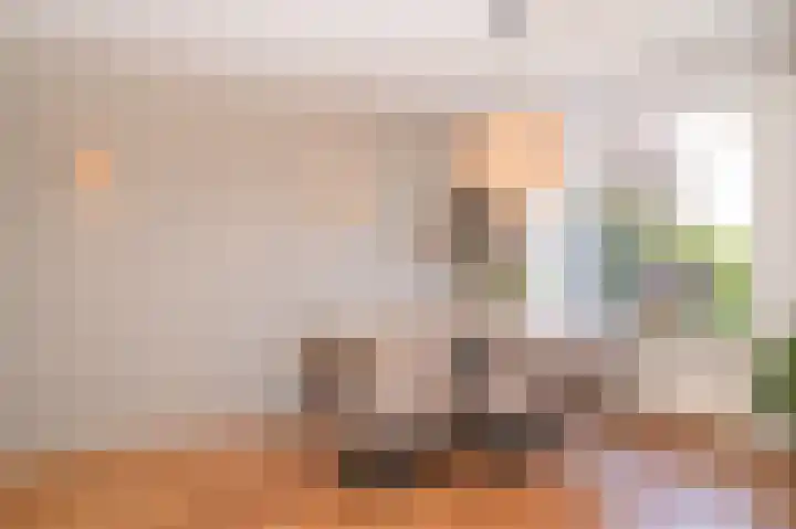Bulckesteynstraat 26 Deil thumbnail 8