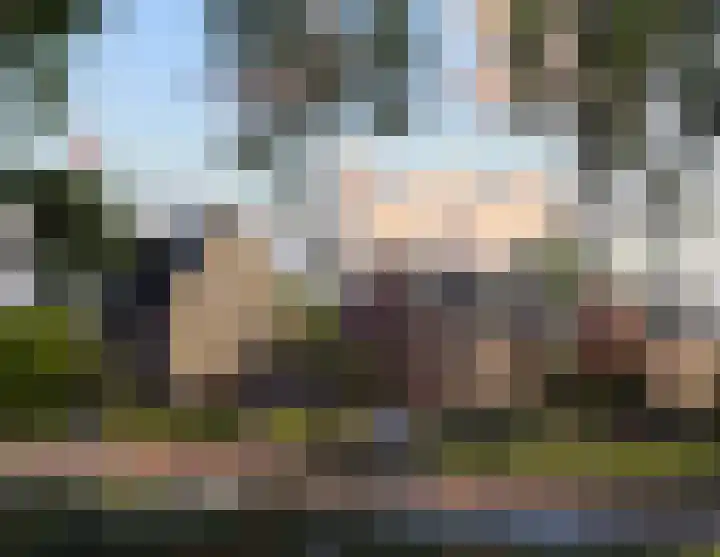 Buldersweg 14 Heeze thumbnail 8