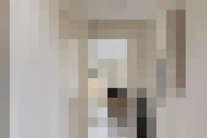 Bulemansteeg 2 Lemele thumbnail 10