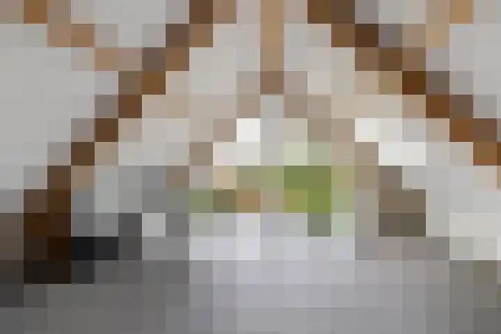 Bulemansteeg 2 Lemele thumbnail 12