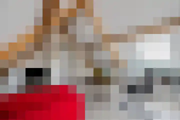 Bulemansteeg 2 Lemele thumbnail 15