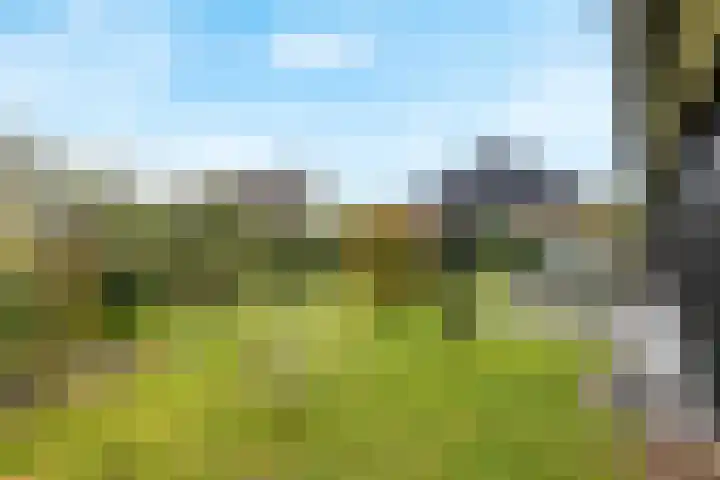 Bulemansteeg 2 Lemele thumbnail 19