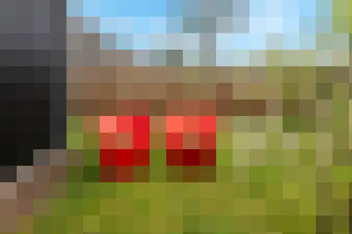 Bulemansteeg 2 Lemele thumbnail 21