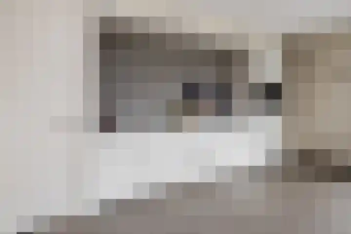 Bulemansteeg 2 Lemele thumbnail 23