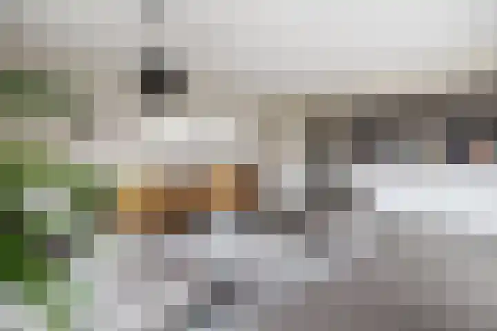 Bulemansteeg 2 Lemele thumbnail 25