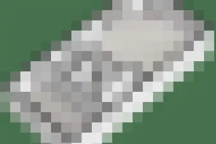 Bulemansteeg 2 Lemele thumbnail 31