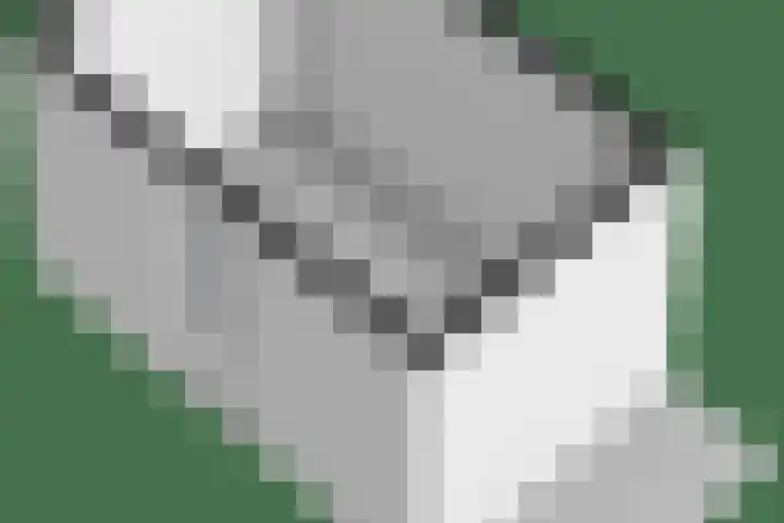 Bulemansteeg 2 Lemele thumbnail 35