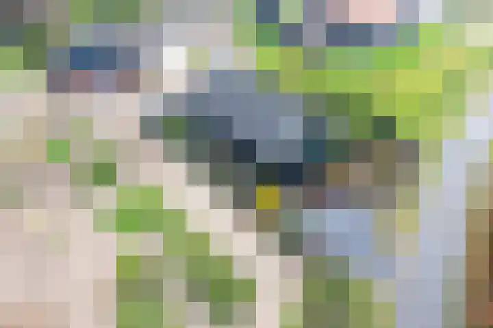 Bulemansteeg 2 Lemele thumbnail 4