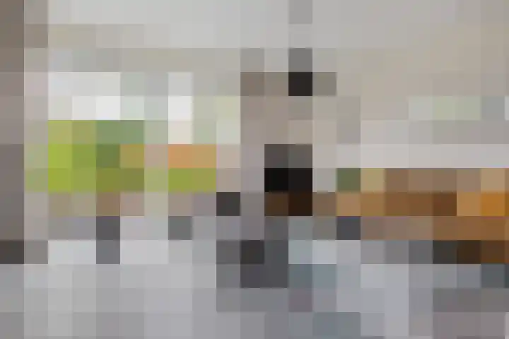 Bulemansteeg 2 Lemele thumbnail 7