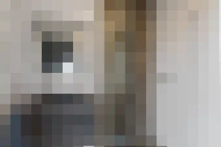 Bulemansteeg 2 Lemele thumbnail 9