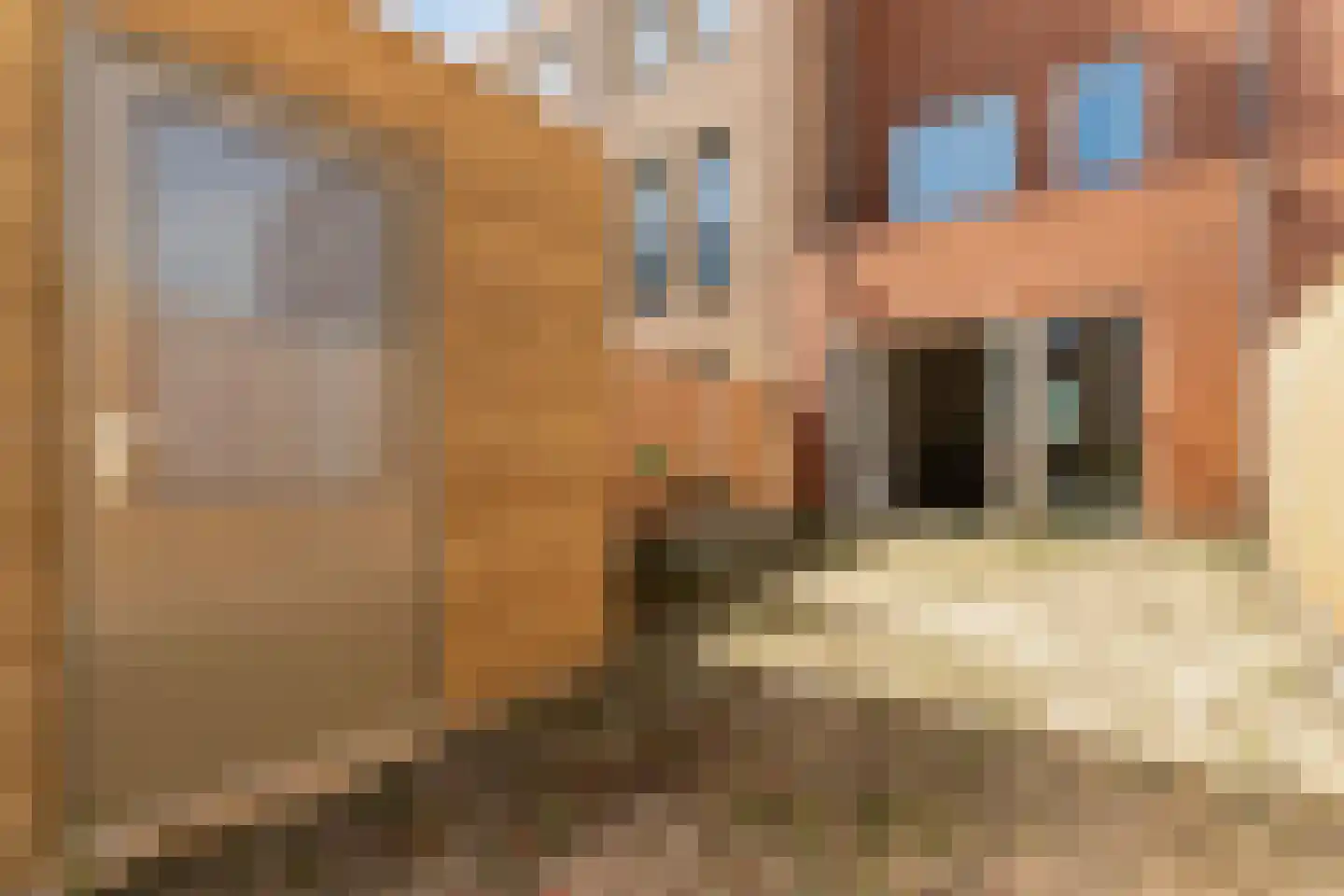 Bulgarijestraat 38 Almere thumbnail 32