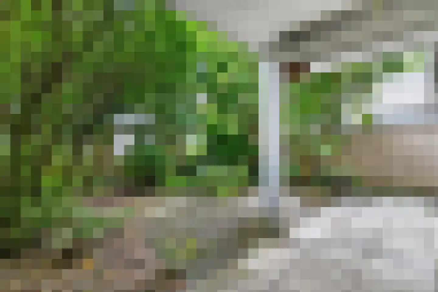 Bulgerstein 4 Amsterdam thumbnail 10