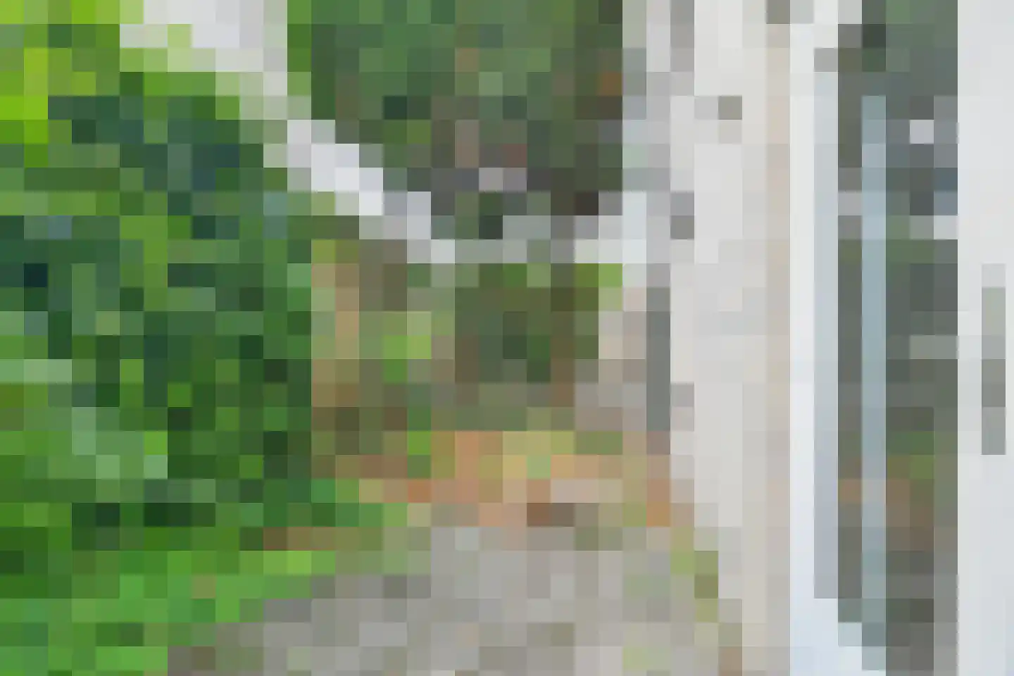 Bulgerstein 4 Amsterdam thumbnail 9