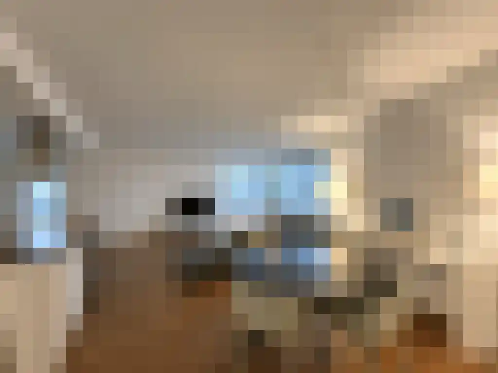 Bulgersteyn 7023 Rotterdam thumbnail 6