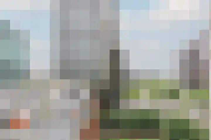 Bulgersteyn 7083 Rotterdam thumbnail 16