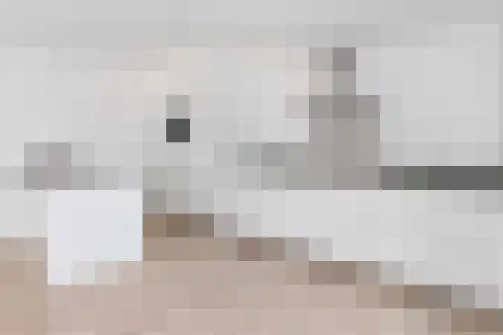 Bulgersteyn 7091 Rotterdam thumbnail 13
