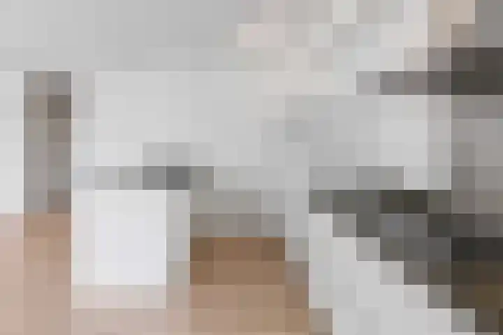 Bulgersteyn 7091 Rotterdam thumbnail 15