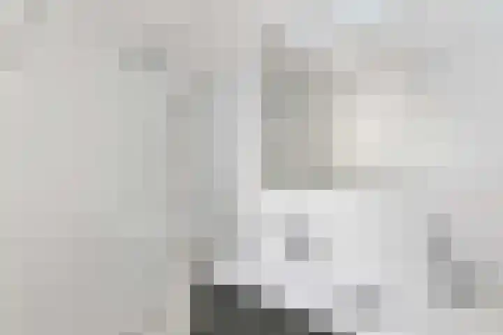 Bulgersteyn 7091 Rotterdam thumbnail 28