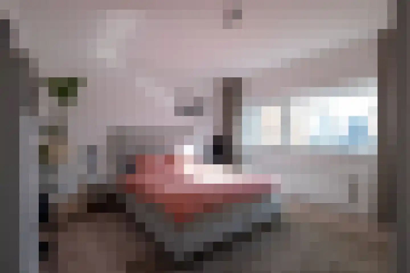 Bulgersteyn 7113 Rotterdam thumbnail 15