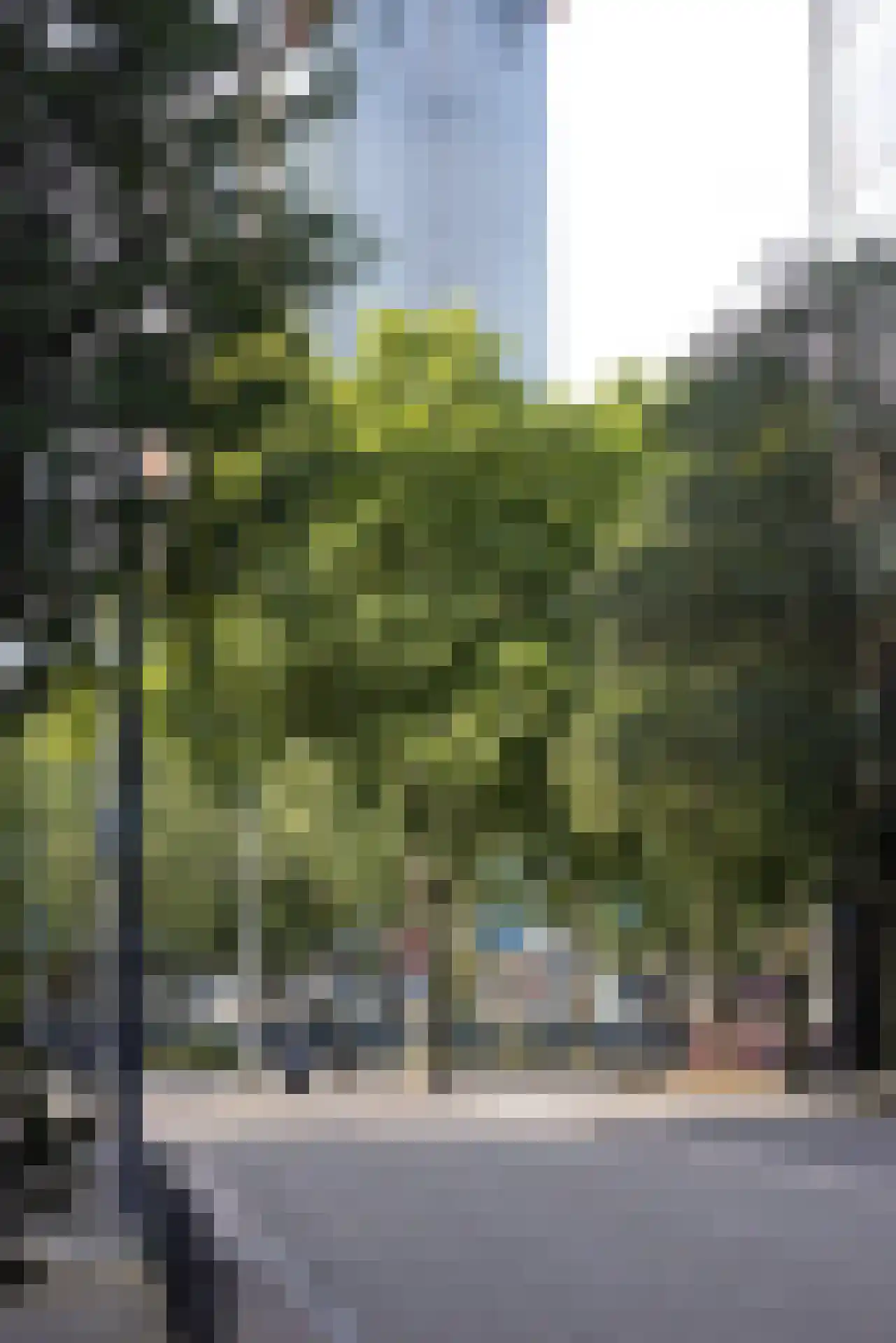 Bulgersteyn 7113 Rotterdam thumbnail 32